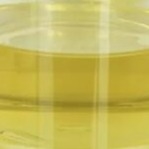Van de de Bepalingsstabilisator van het oliesmeermiddel de Oleaat PETO Vloeibaar CAS 19321-40-5 van Pentaerythrityl